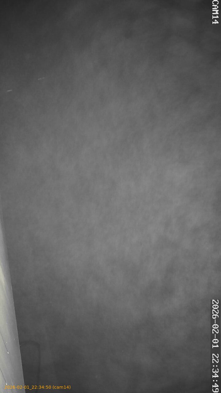 thumbnail_20260201223450