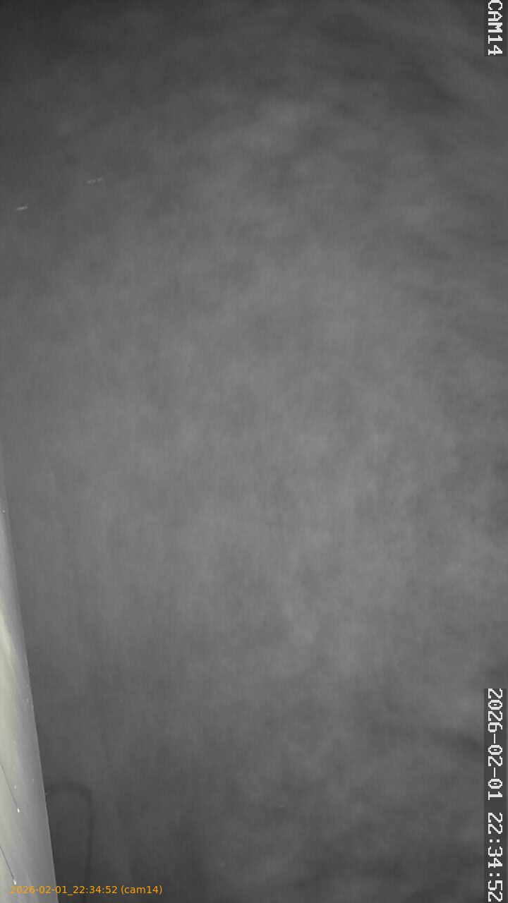 thumbnail_20260201223452