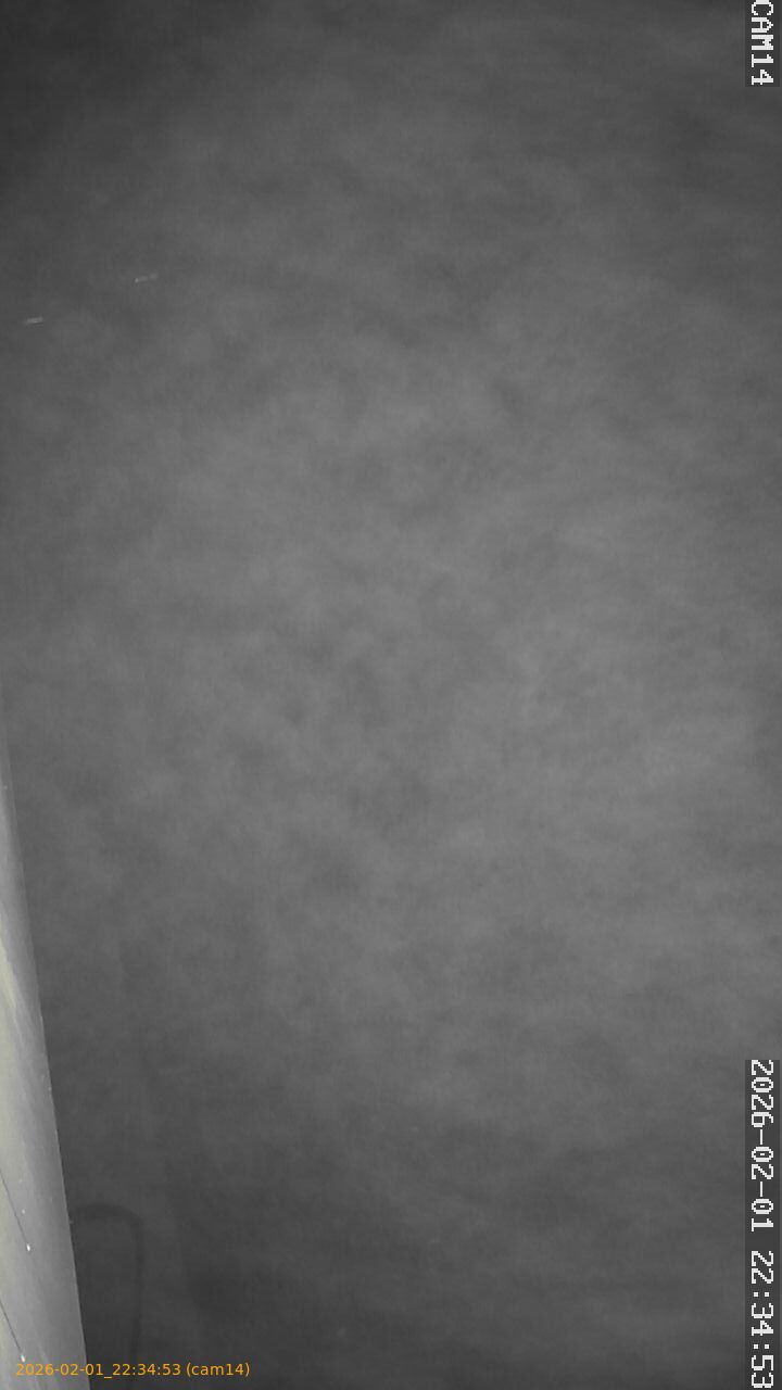 thumbnail_20260201223453