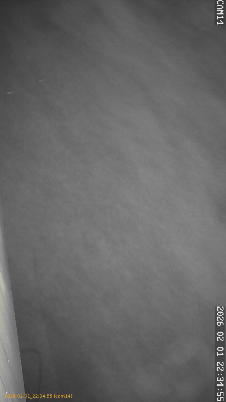 thumbnail_20260201223455