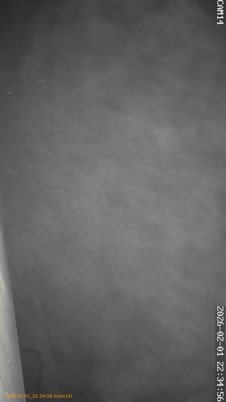 thumbnail_20260201223456