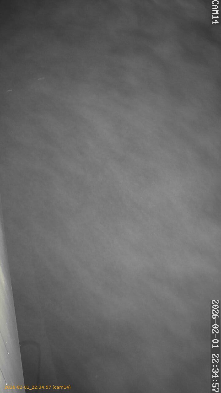 thumbnail_20260201223457