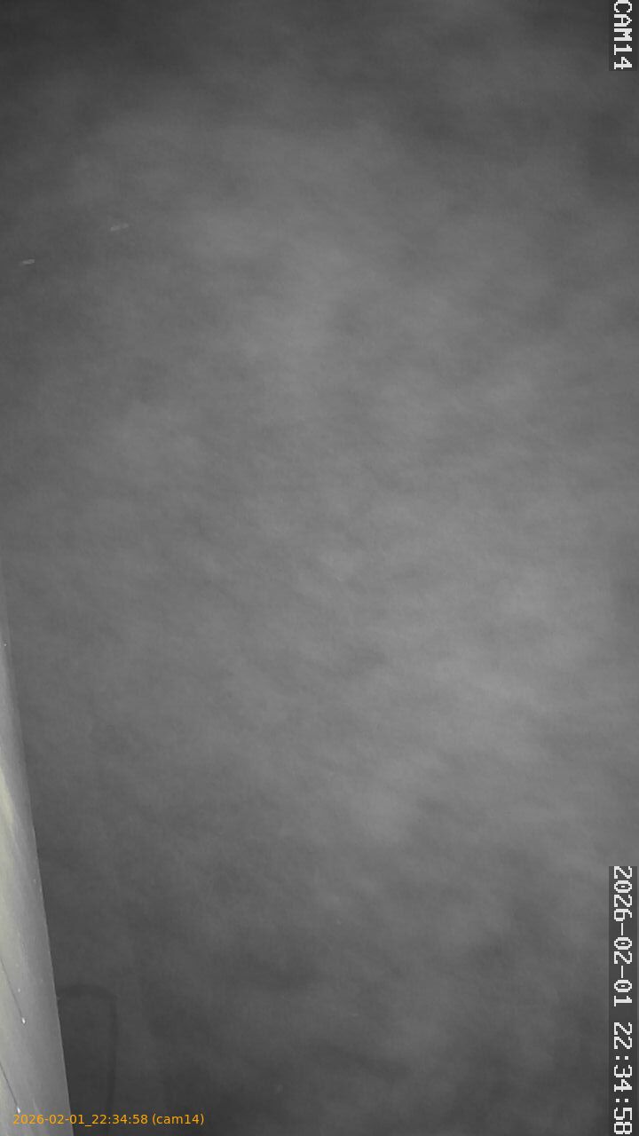 thumbnail_20260201223458