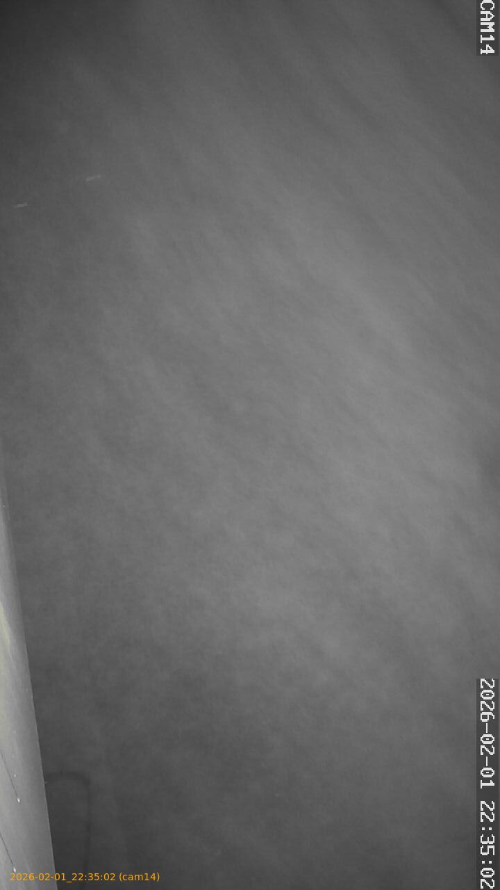 thumbnail_20260201223502