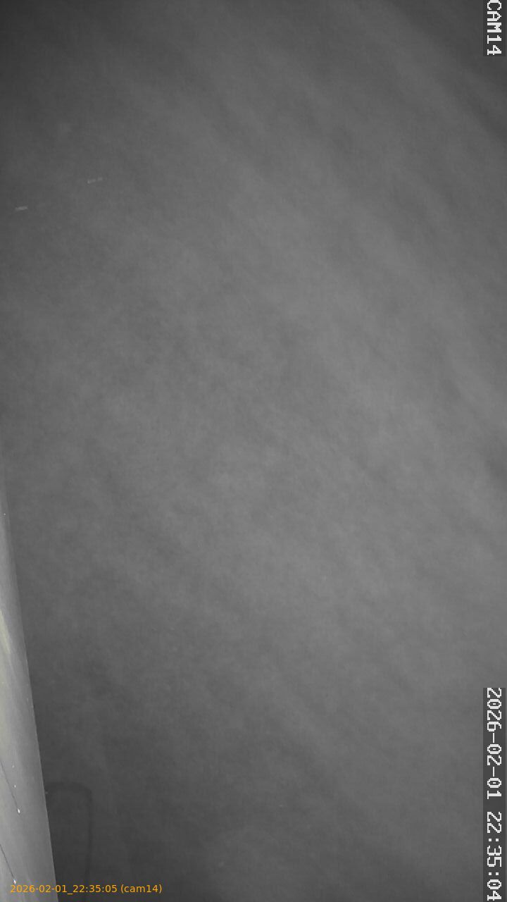 thumbnail_20260201223505