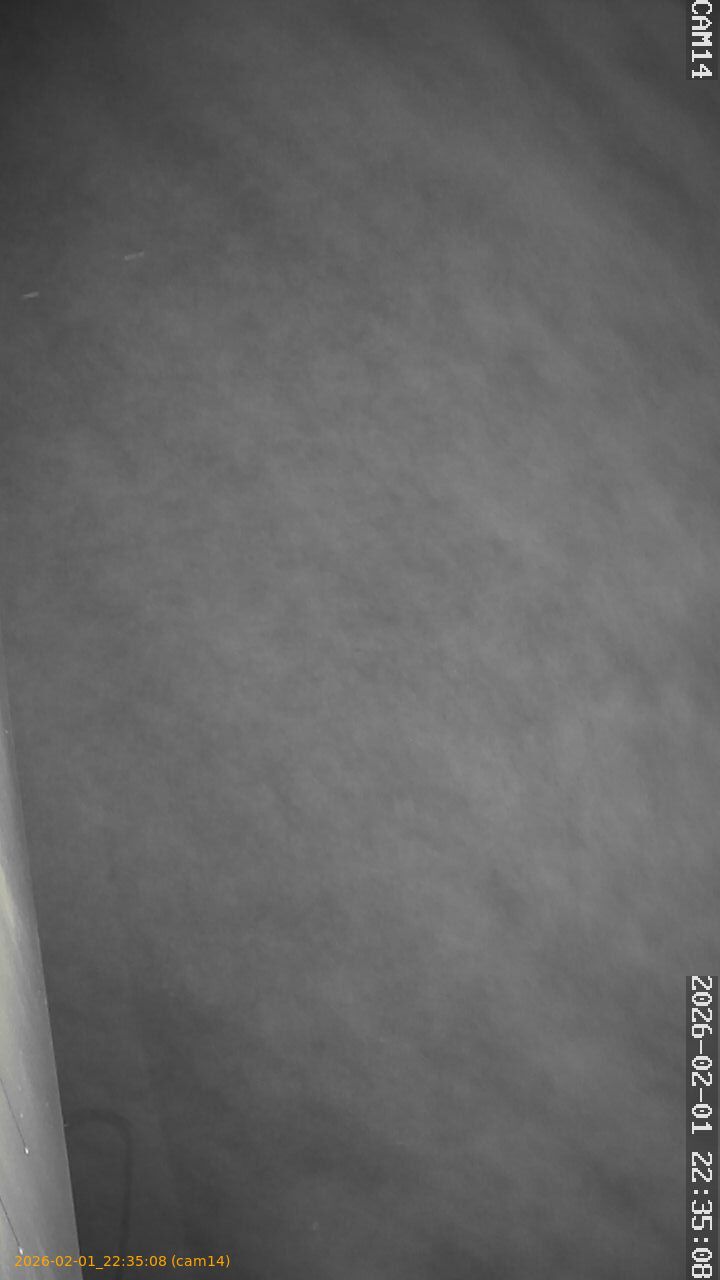 thumbnail_20260201223508