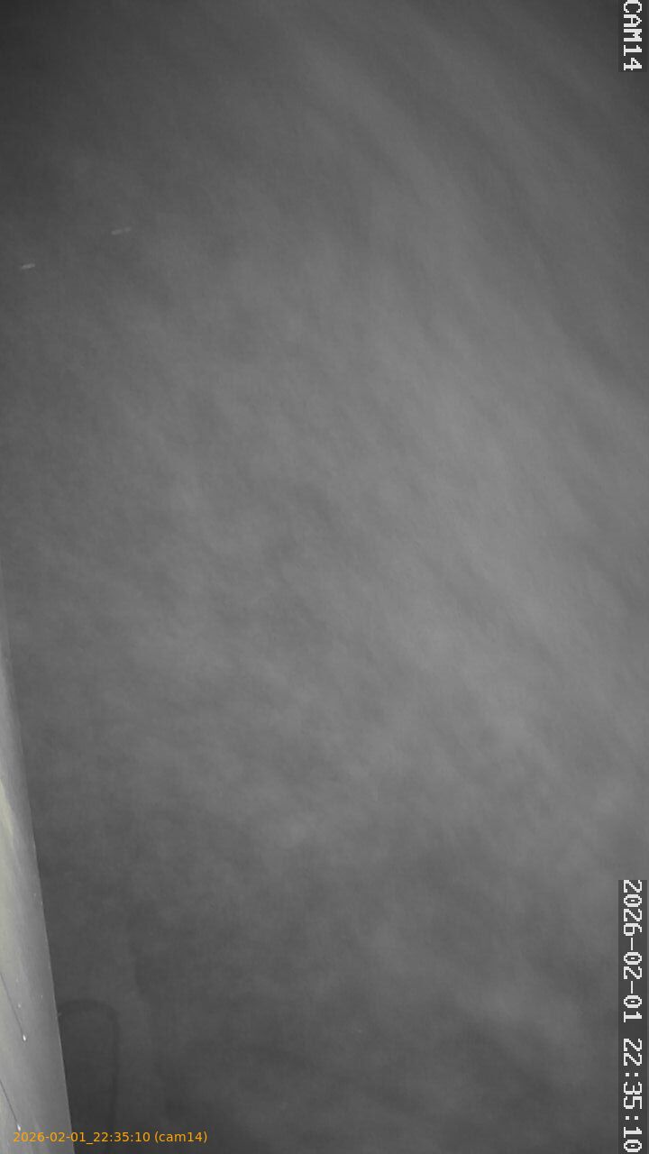 thumbnail_20260201223510