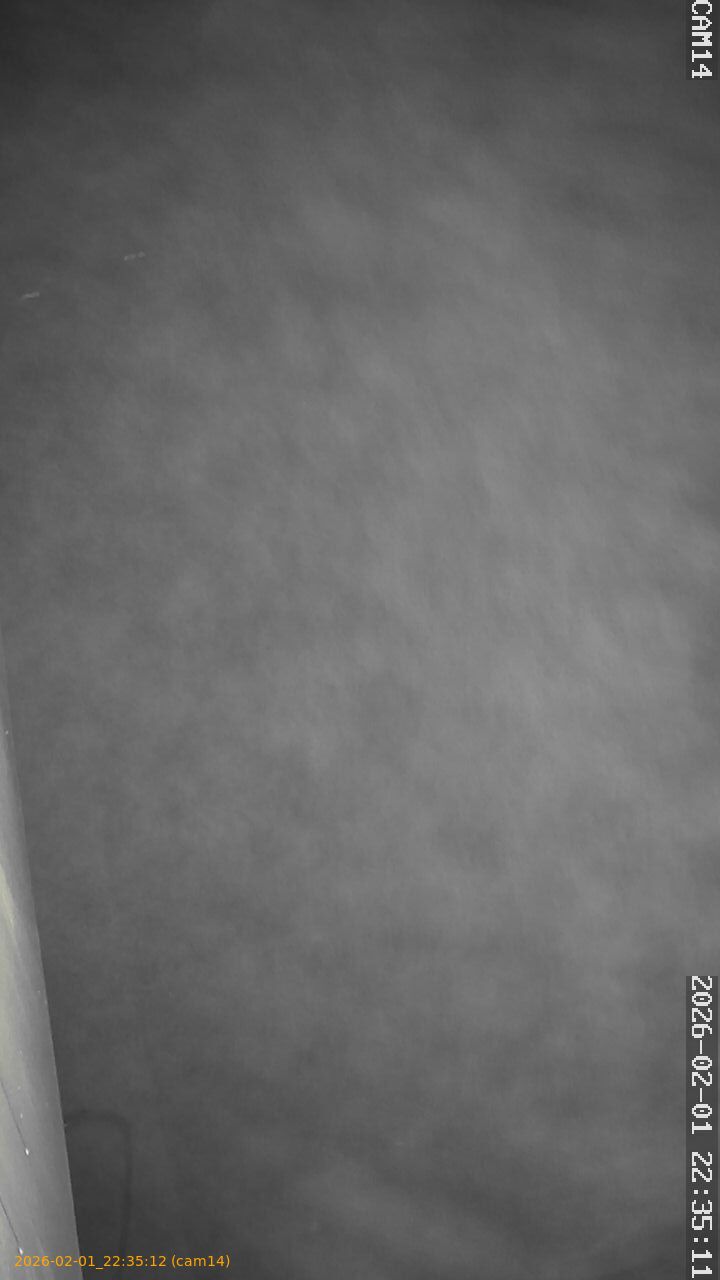 thumbnail_20260201223511