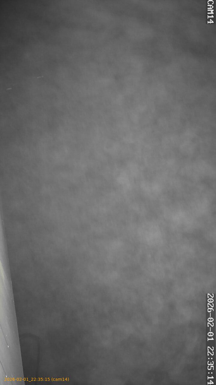 thumbnail_20260201223514