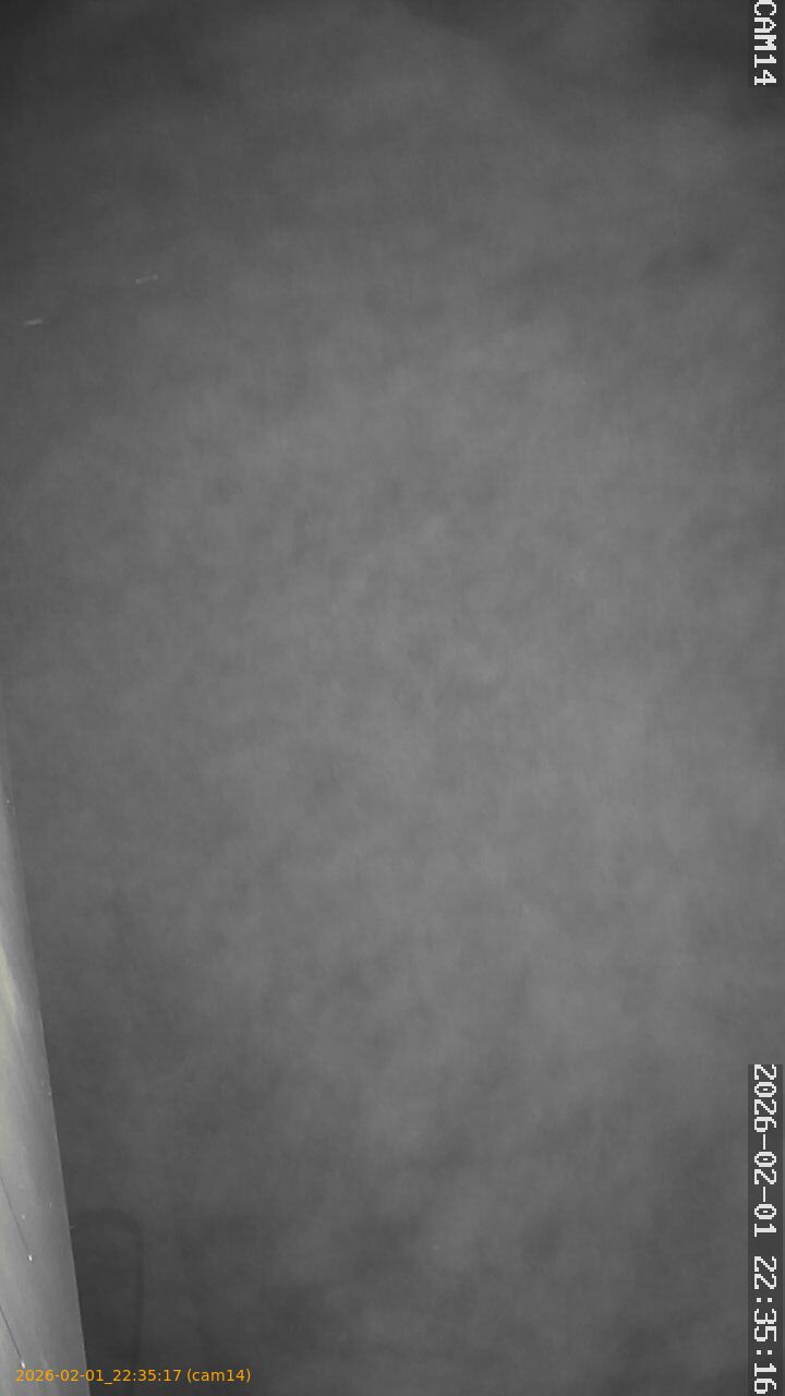 thumbnail_20260201223516