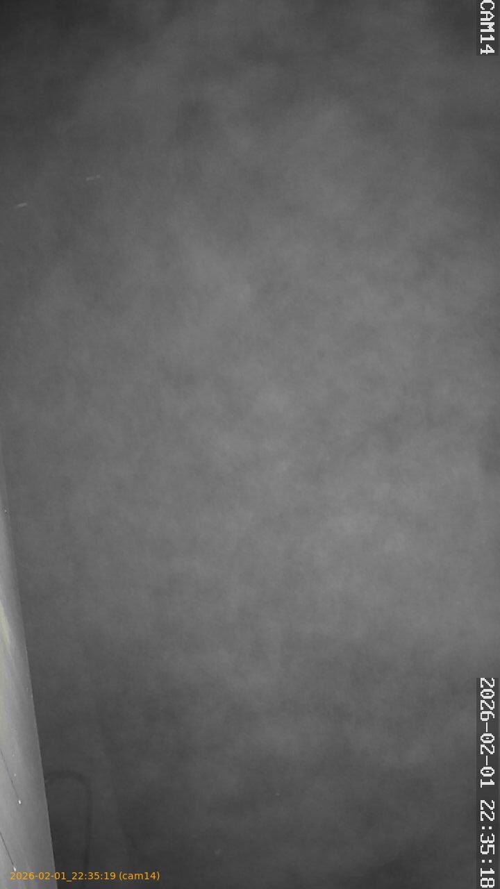 thumbnail_20260201223519