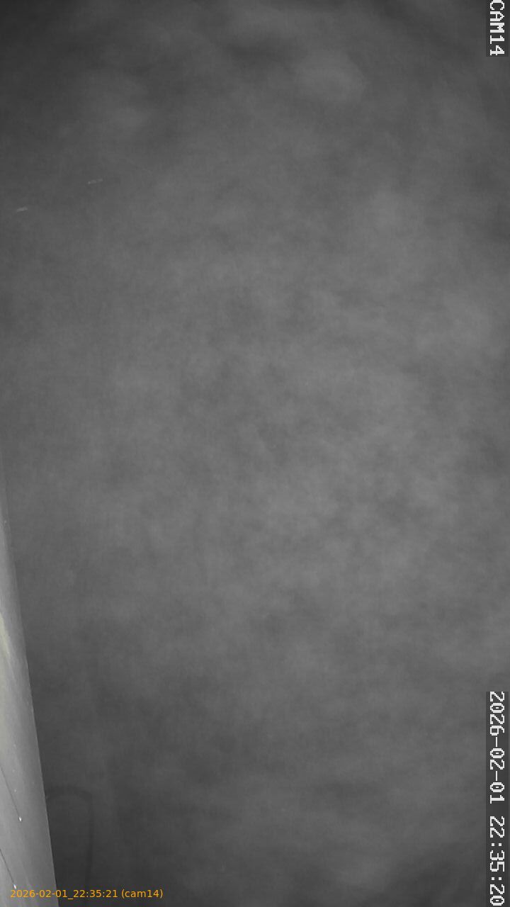 thumbnail_20260201223521