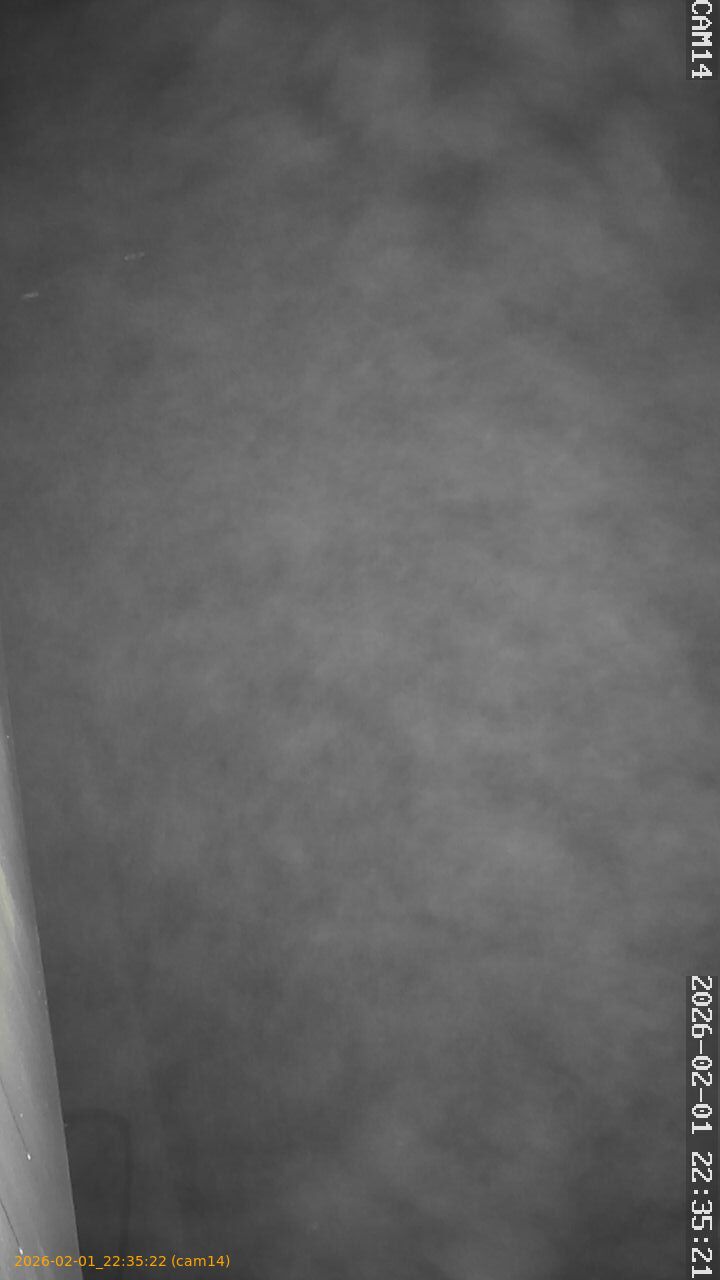 thumbnail_20260201223522