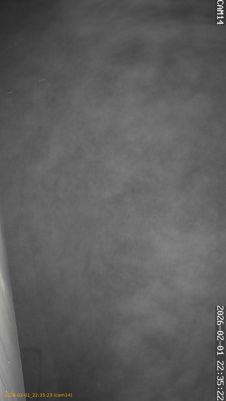 thumbnail_20260201223523