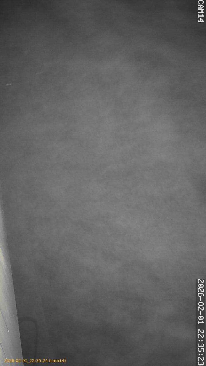 thumbnail_20260201223524