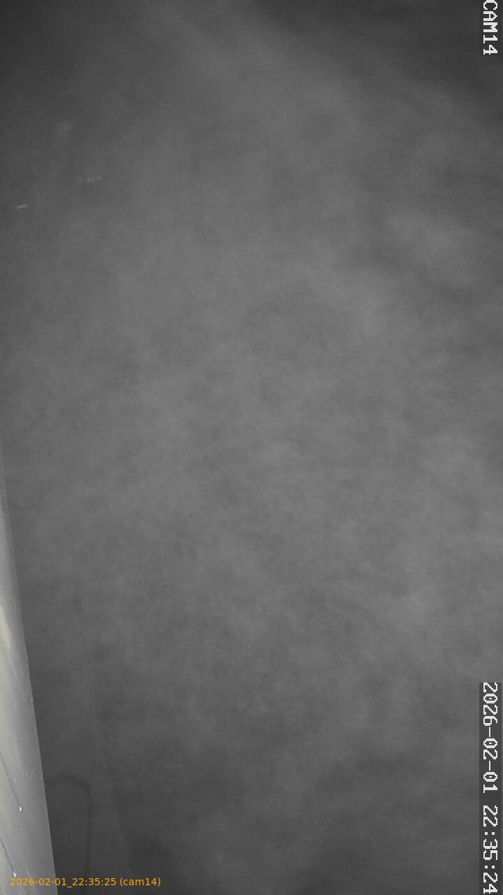 thumbnail_20260201223525