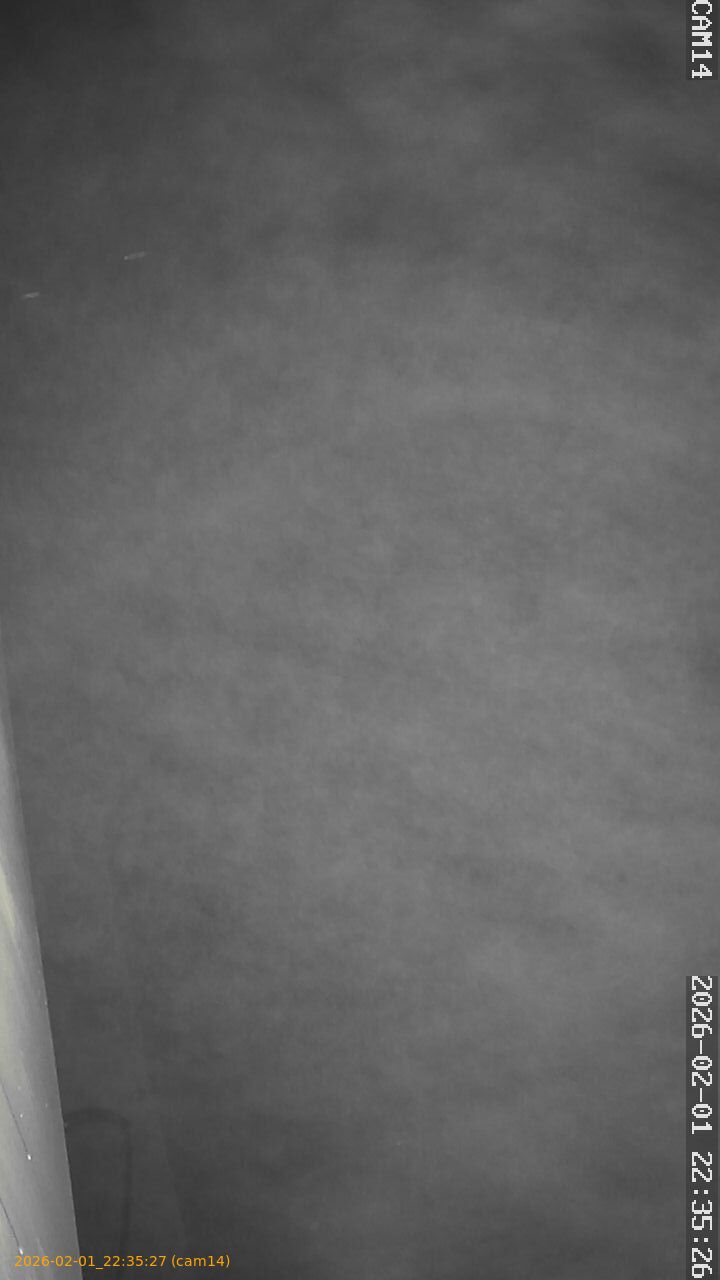 thumbnail_20260201223527