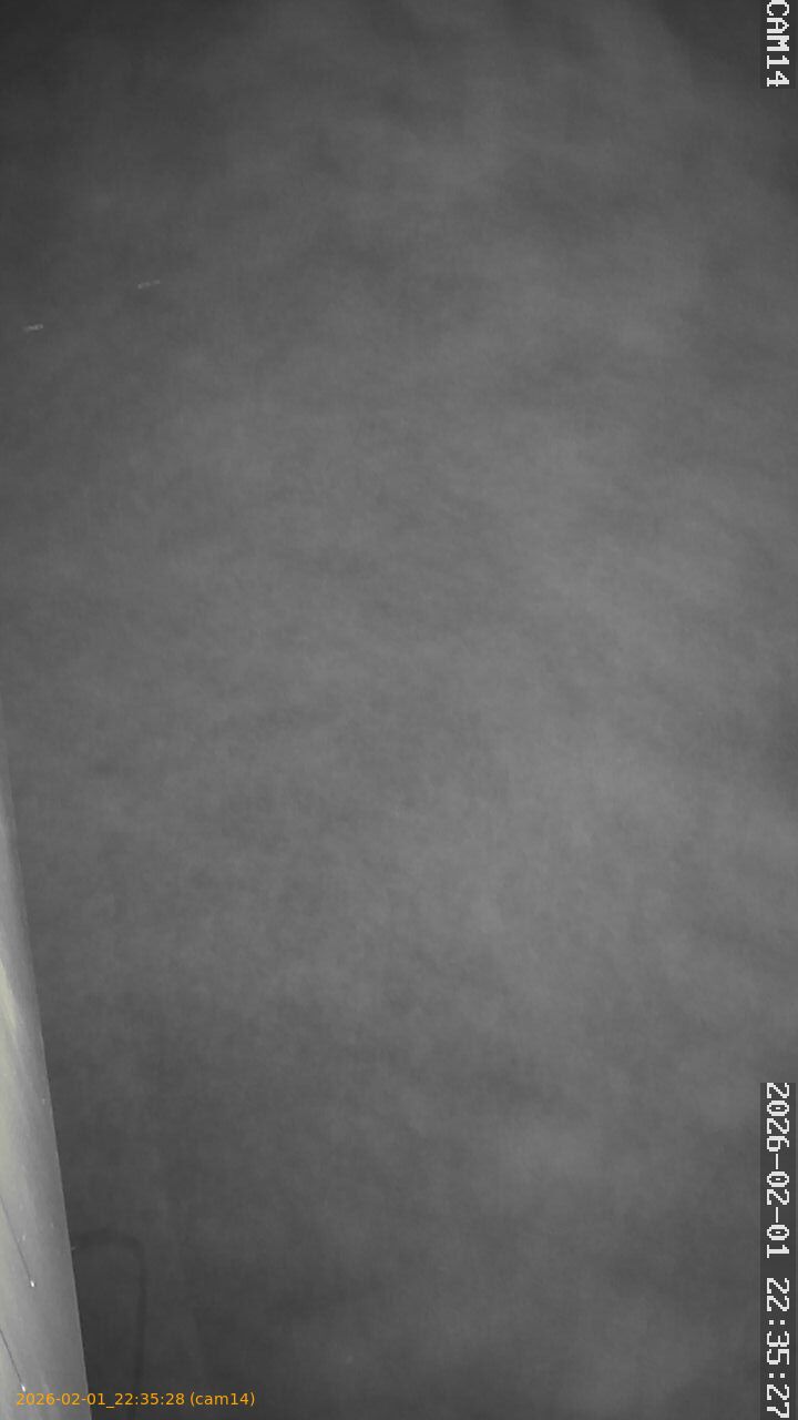 thumbnail_20260201223528