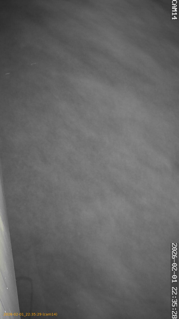 thumbnail_20260201223529