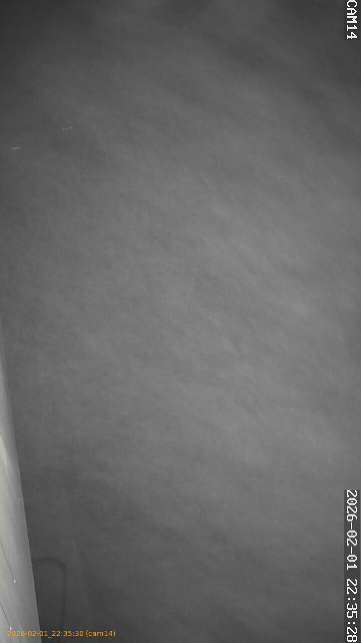 thumbnail_20260201223530