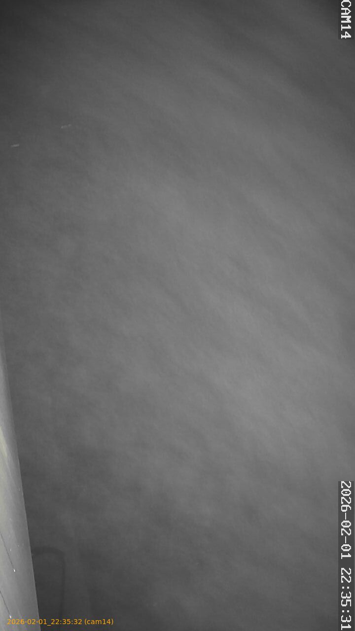 thumbnail_20260201223532