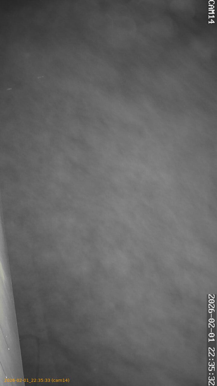 thumbnail_20260201223533