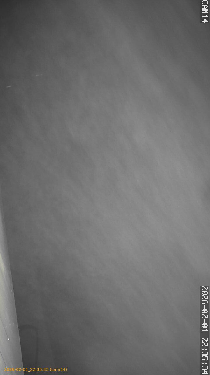 thumbnail_20260201223535