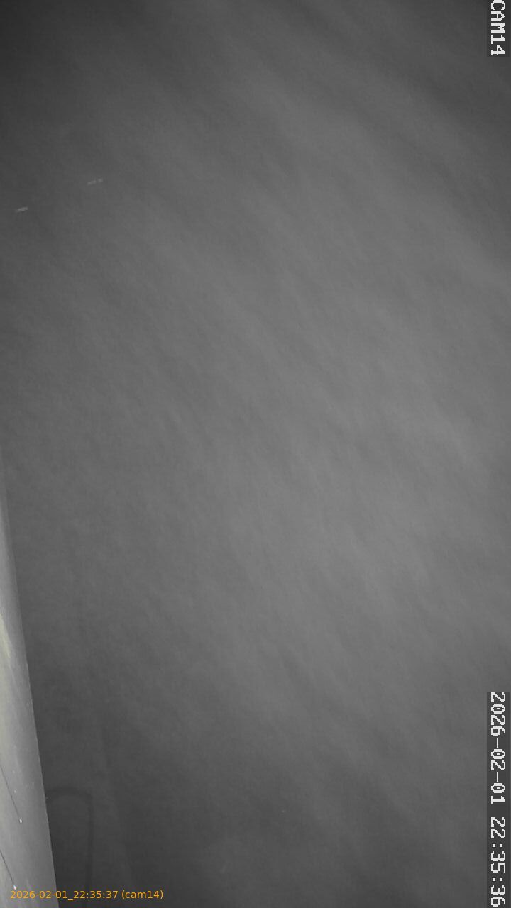 thumbnail_20260201223537