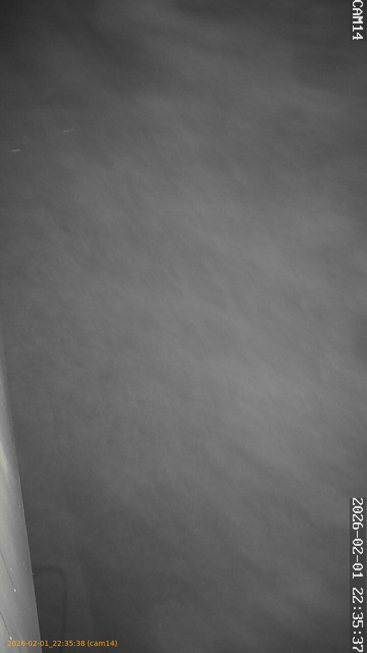 thumbnail_20260201223538