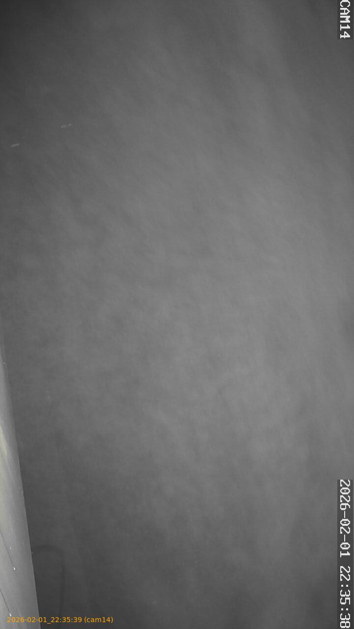 thumbnail_20260201223539