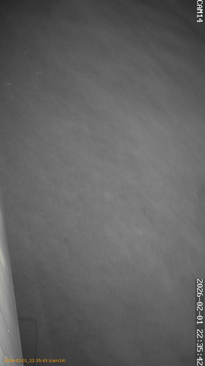 thumbnail_20260201223543