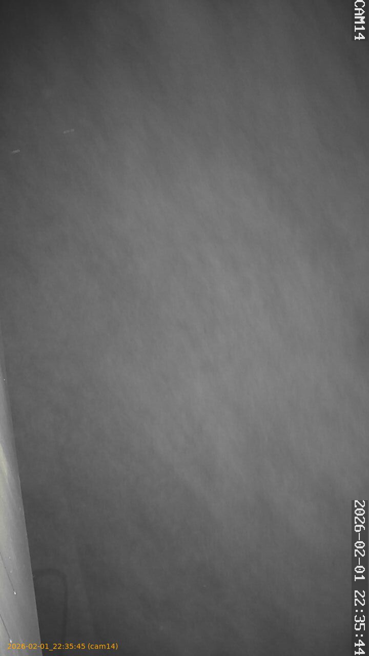 thumbnail_20260201223545