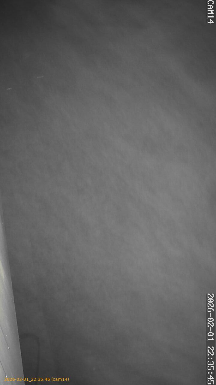 thumbnail_20260201223546