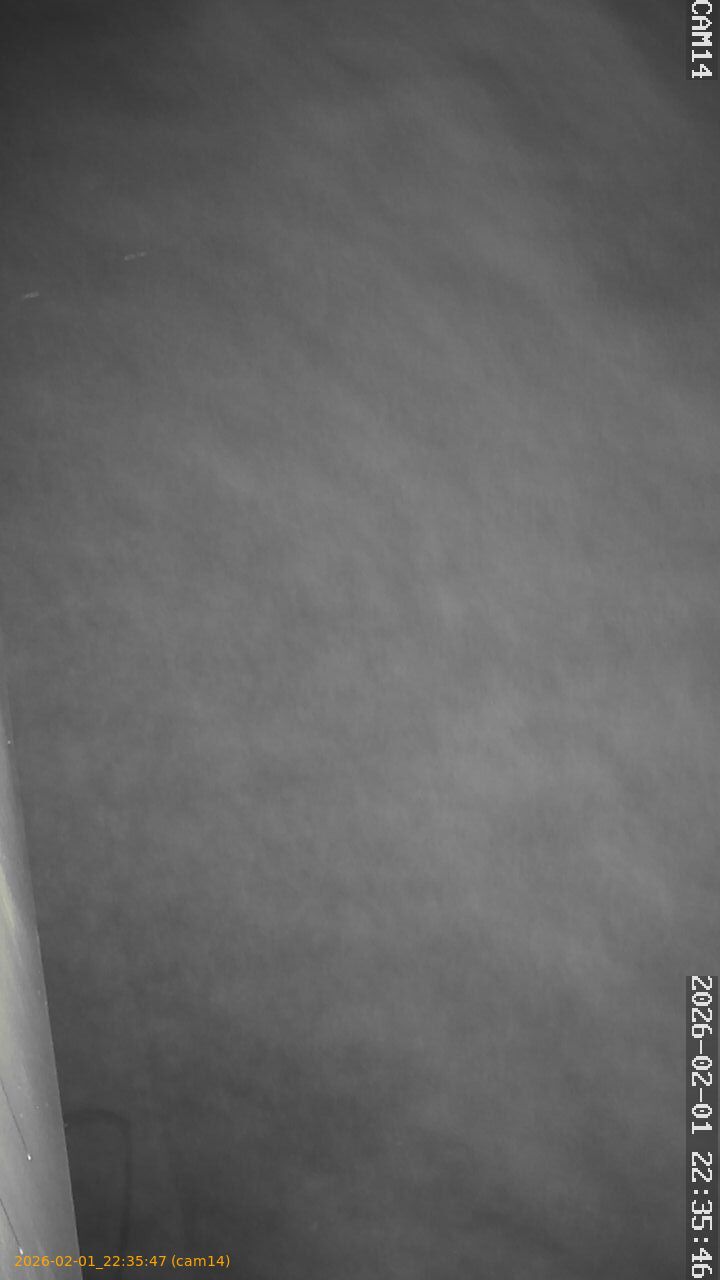 thumbnail_20260201223547