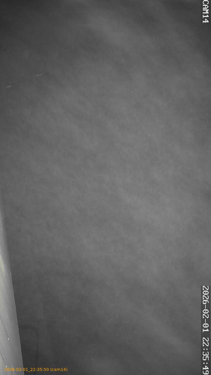 thumbnail_20260201223550