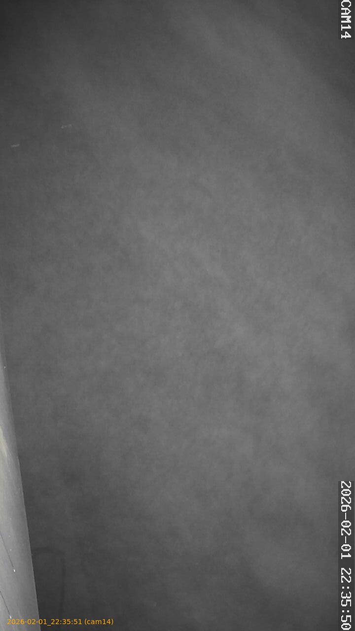 thumbnail_20260201223551