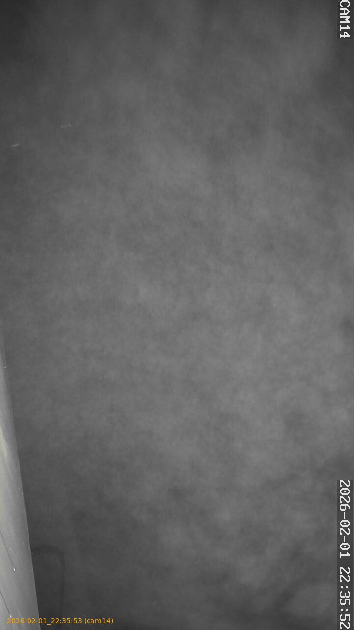 thumbnail_20260201223553