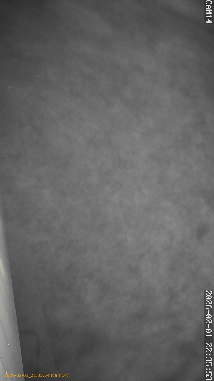 thumbnail_20260201223554