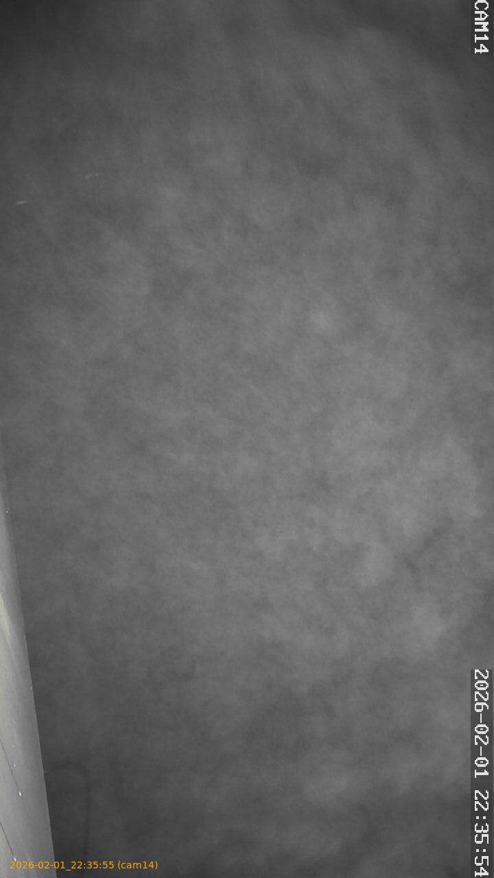 thumbnail_20260201223555