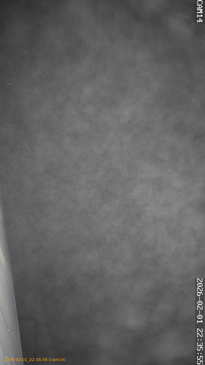 thumbnail_20260201223556