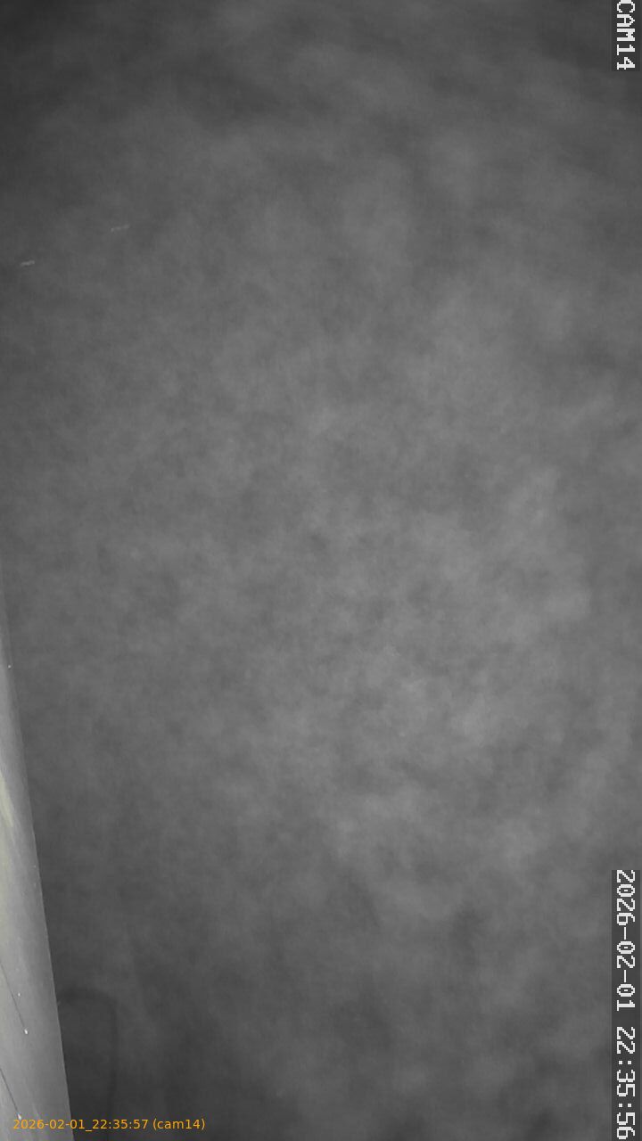 thumbnail_20260201223557