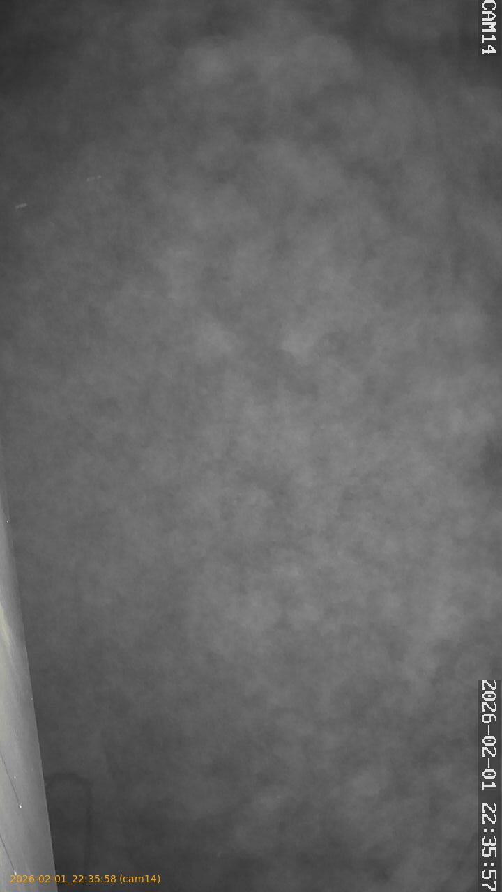 thumbnail_20260201223558