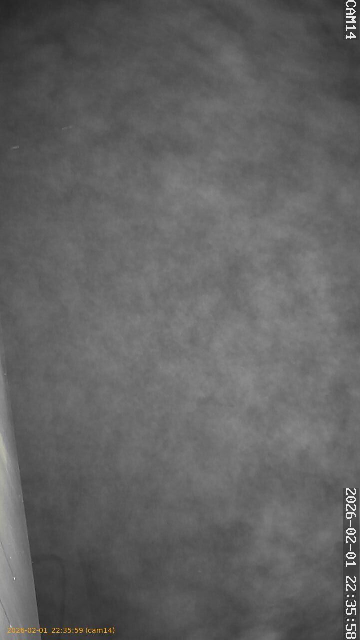 thumbnail_20260201223559