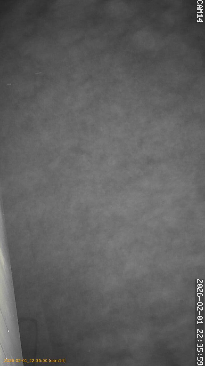 thumbnail_20260201223600