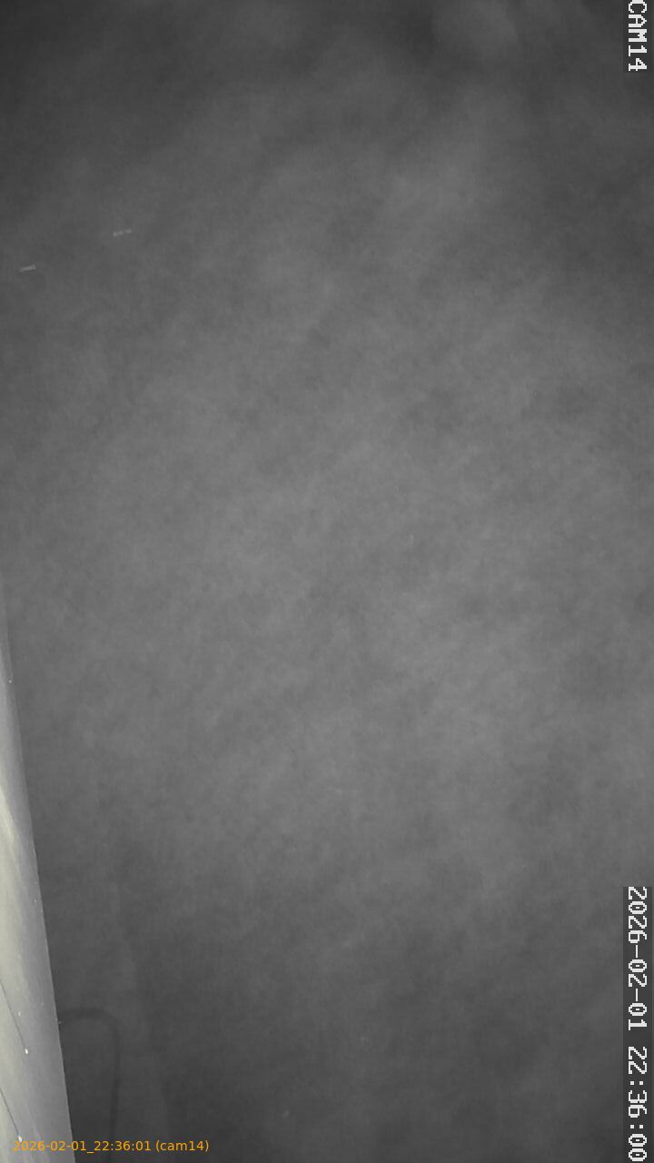 thumbnail_20260201223601