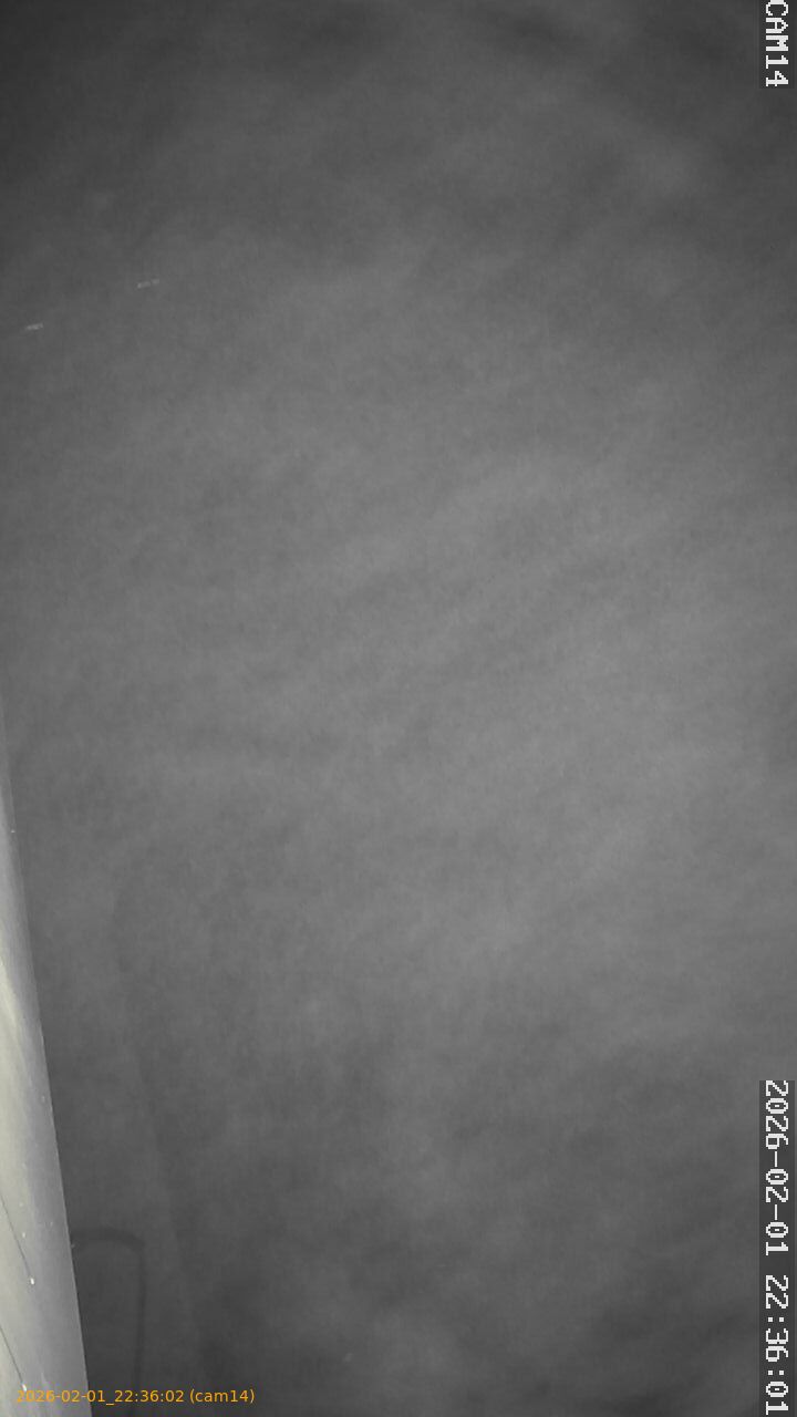 thumbnail_20260201223602