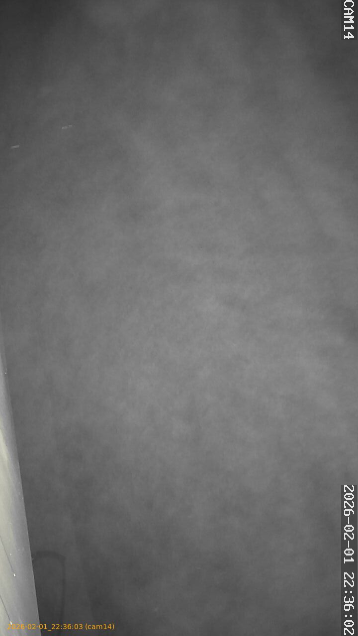 thumbnail_20260201223603