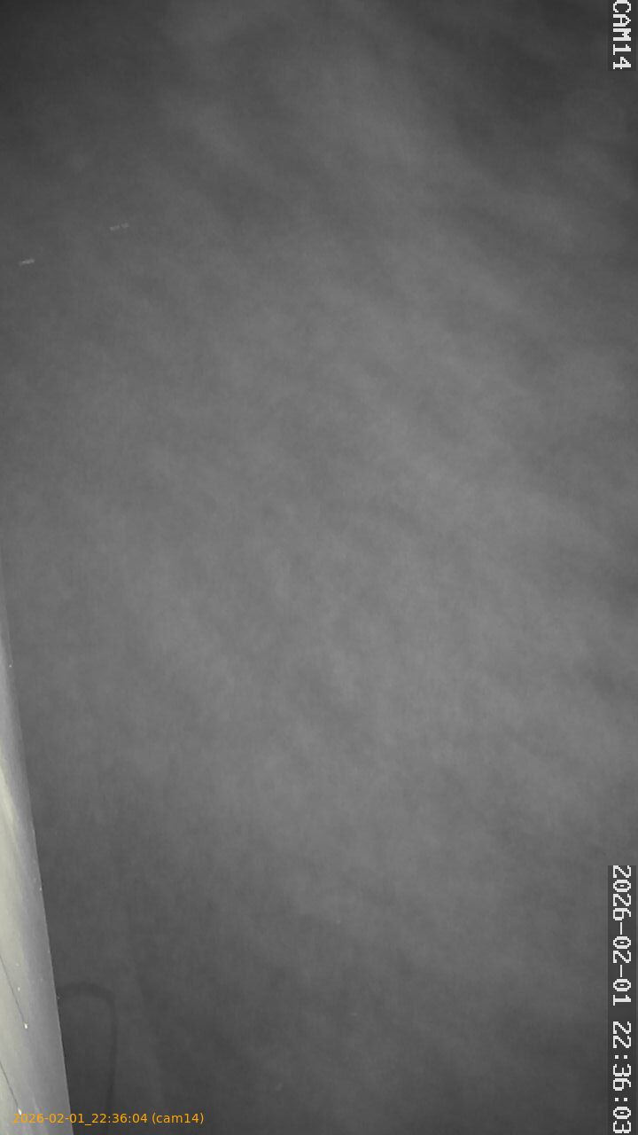 thumbnail_20260201223604