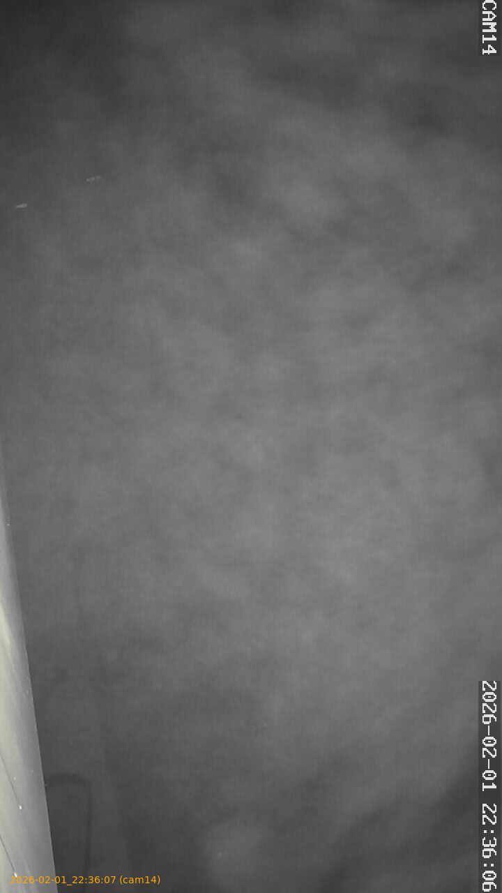 thumbnail_20260201223607