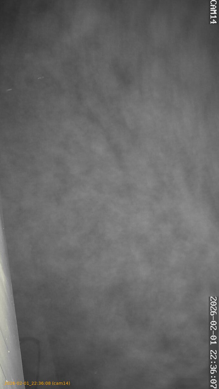 thumbnail_20260201223608